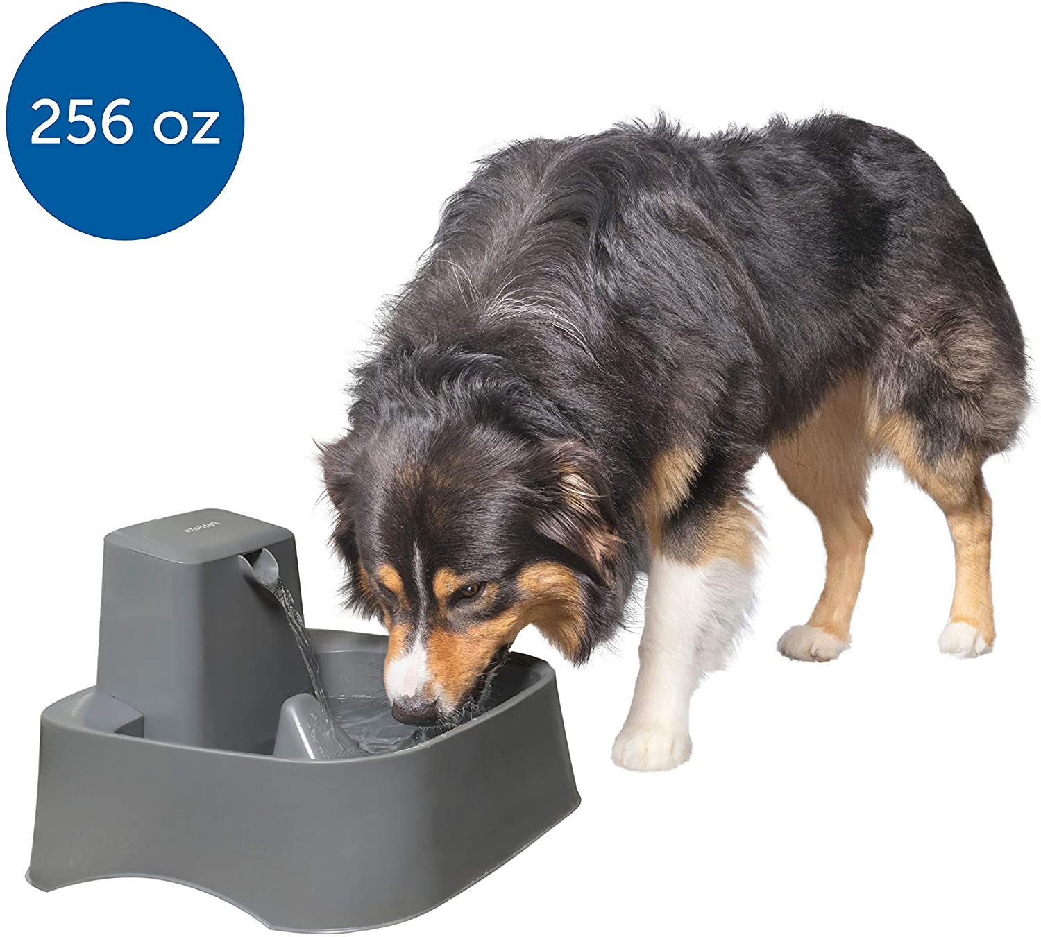 Top 5 Automatic Dog Waterers Perfect Pet Stuff